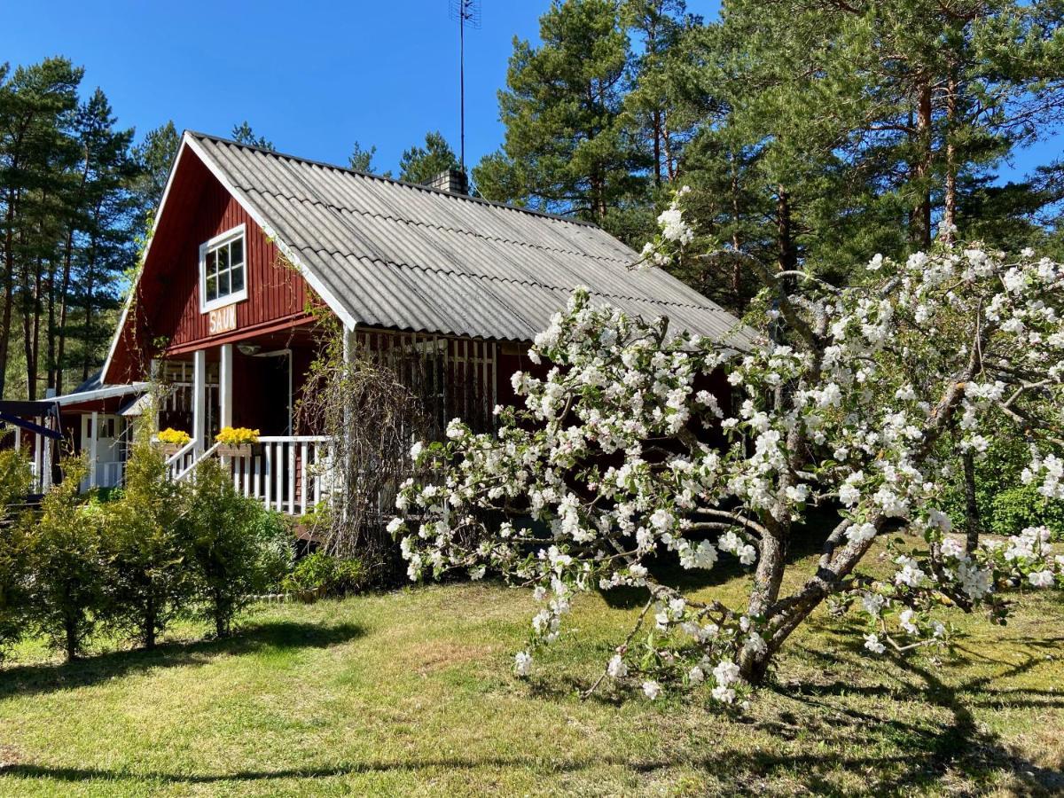 Nõva Madise Guesthouse Rannaküla Eksteriør billede